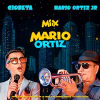 Mix Mario Ortiz : Amar y Amando / Hablame En La Cama / Me Quiero Quedar / A Fuego Lento