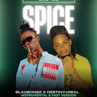 Just Like Spice (feat. Blaqbonez) [Instrumental]