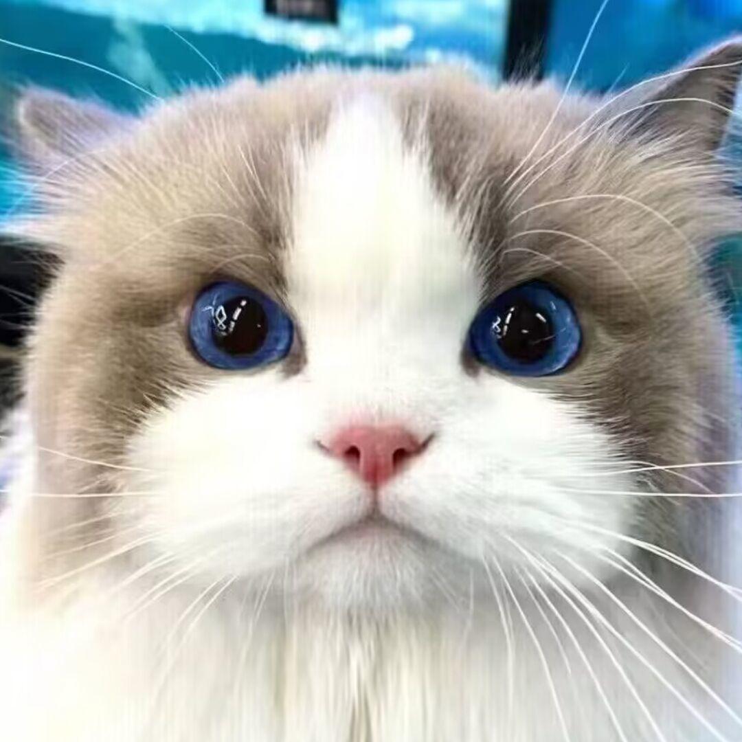 云村村民172038253128185