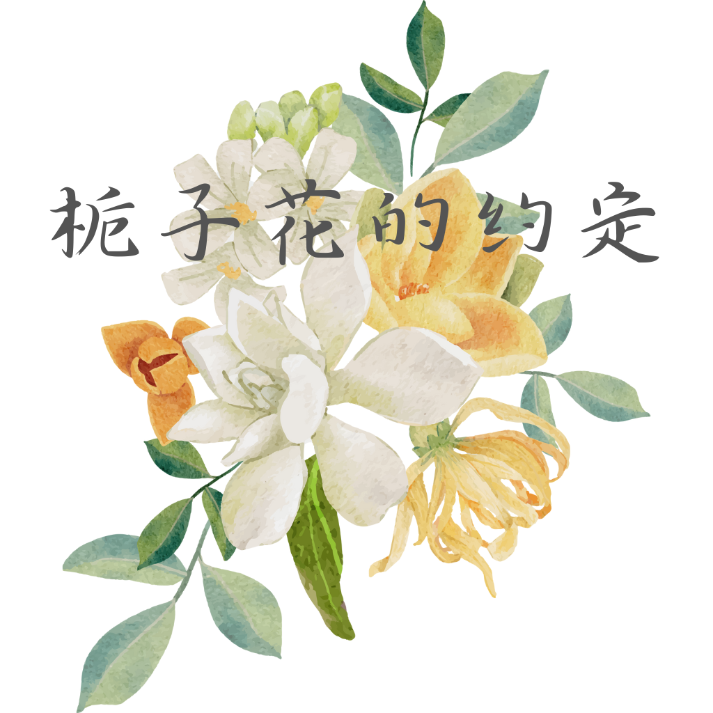 栀子花的约定封面