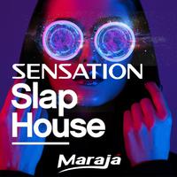 Sensation Slap House