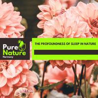 The Profoundness of Sleep in Nature