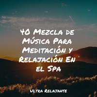 40 Mezcla de Música Para Meditación y Relajación En el Spa