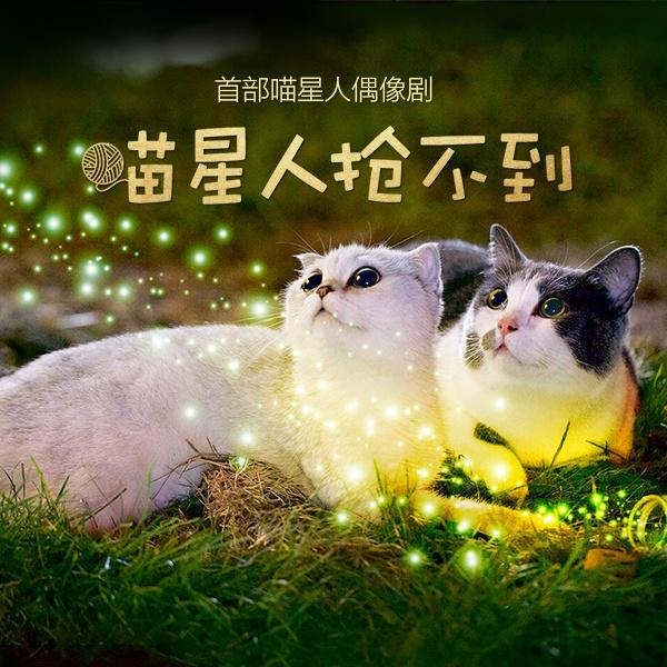 还是放不下你(《喵星人抢不到》第二季主题曲