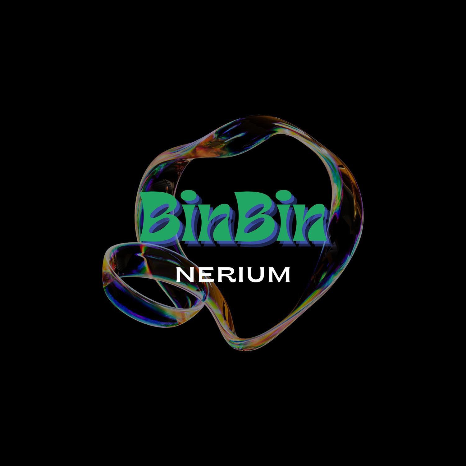 BinBin