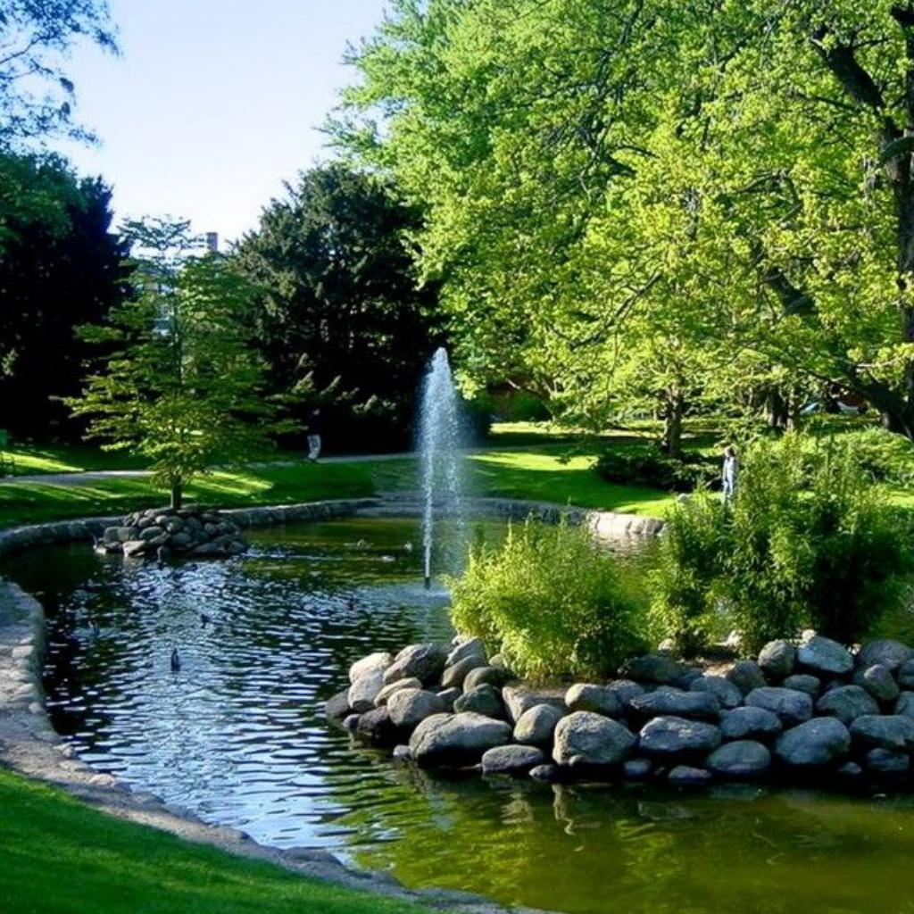 The Nature Sounds Society Japan