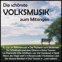 Die schönste Volksmusik zum Mitsingen