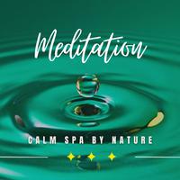 Riverside Rejuvenation: Calm Spa by Nature