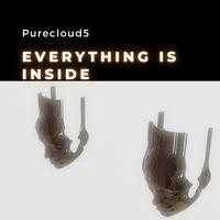 Everything Is Inside