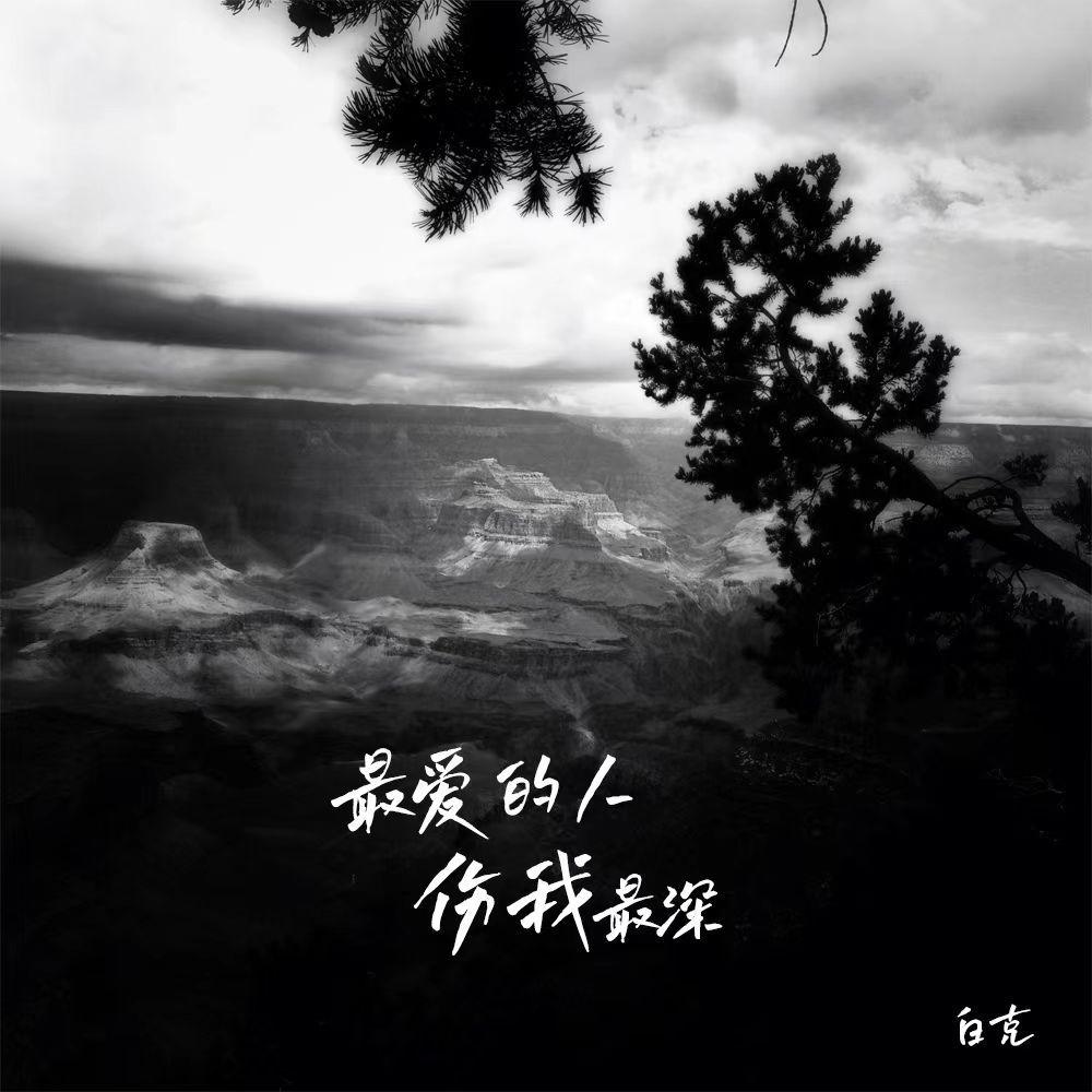 最爱的人伤我最深封面