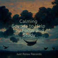 Calming Sounds to Help You Focus and Study