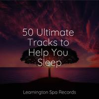 50 Ultimate Tracks to Help You Sleep