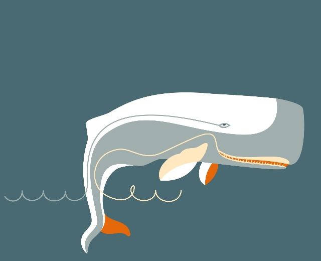 Moby Dick