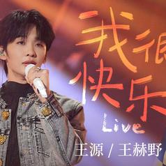 我很快乐 (Live版)