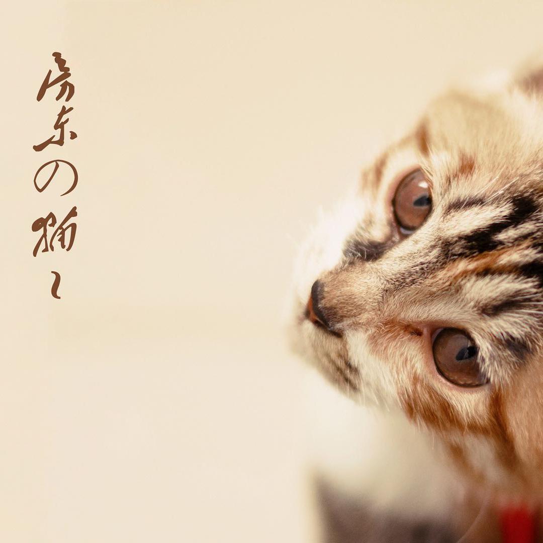 白衣轻舟渡斜阳封面