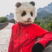 Steo Le Panda资料,Steo Le Panda最新歌曲,Steo Le PandaMV视频,Steo Le Panda音乐专辑,Steo Le Panda好听的歌