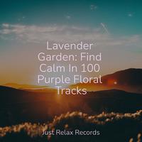 Lavender Garden: Find Calm In 100 Purple Floral Tracks