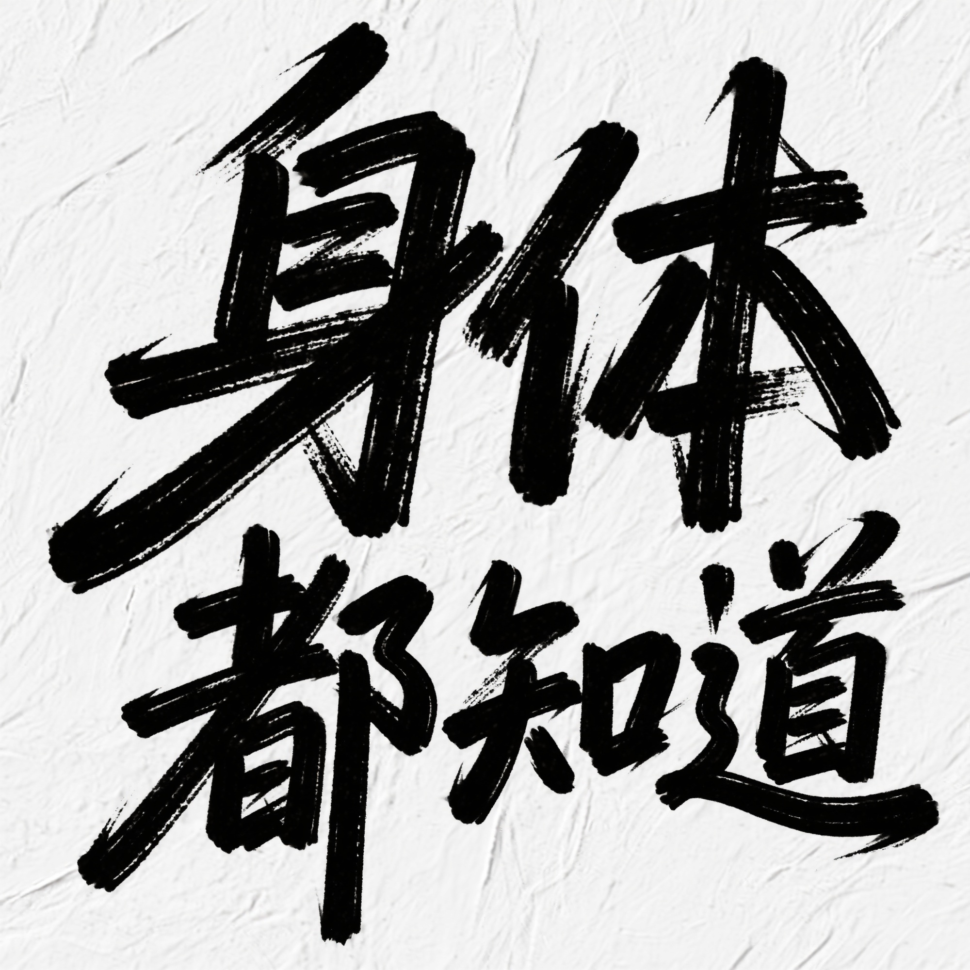 身体都知道封面