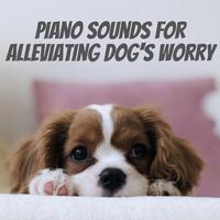 Piano Sounds for Alleviating Dog's Worry