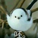 风带走的过往