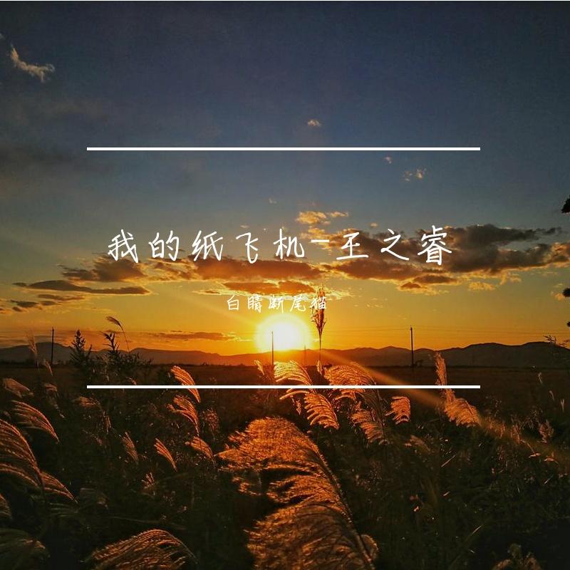椿封面