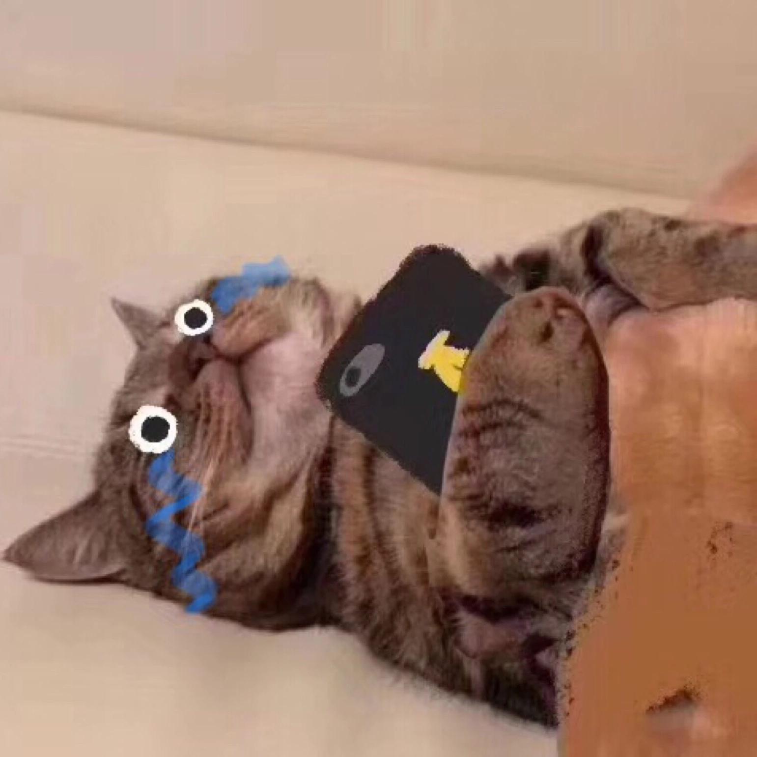 告白（治愈男版）