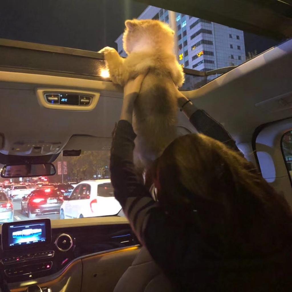 你不是最擅长打逆风局吗