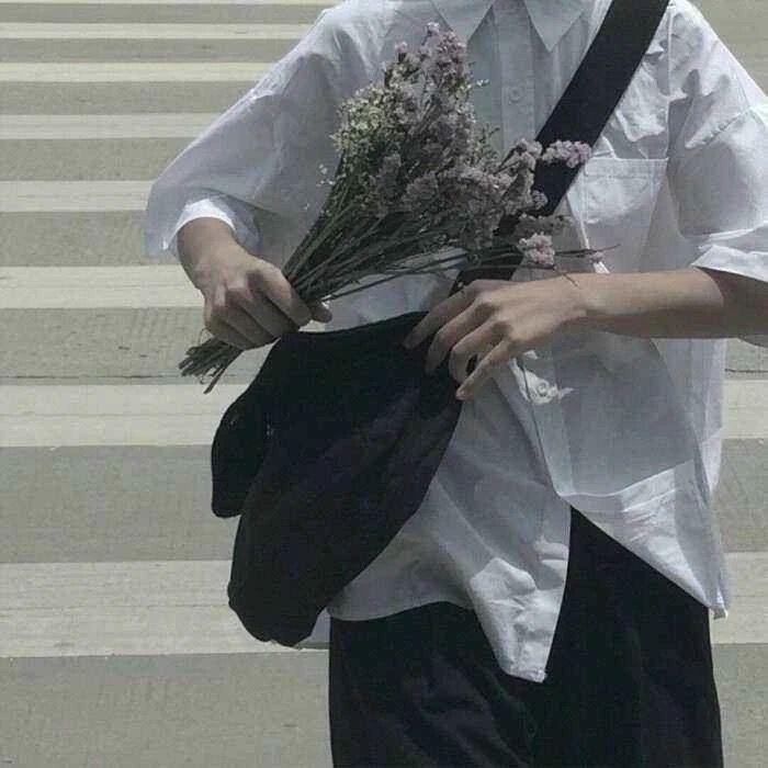 白羊星封面