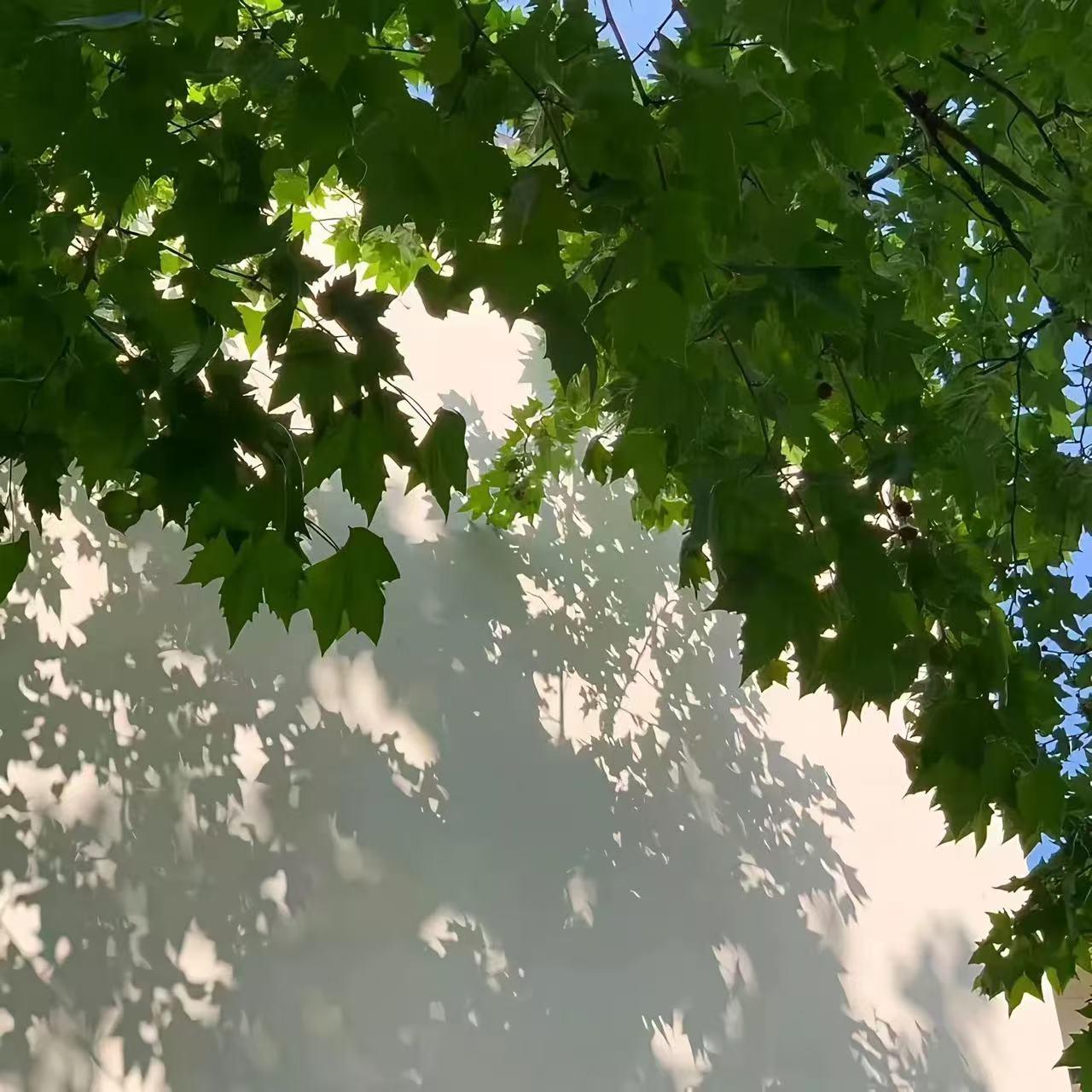 千年（完整版）