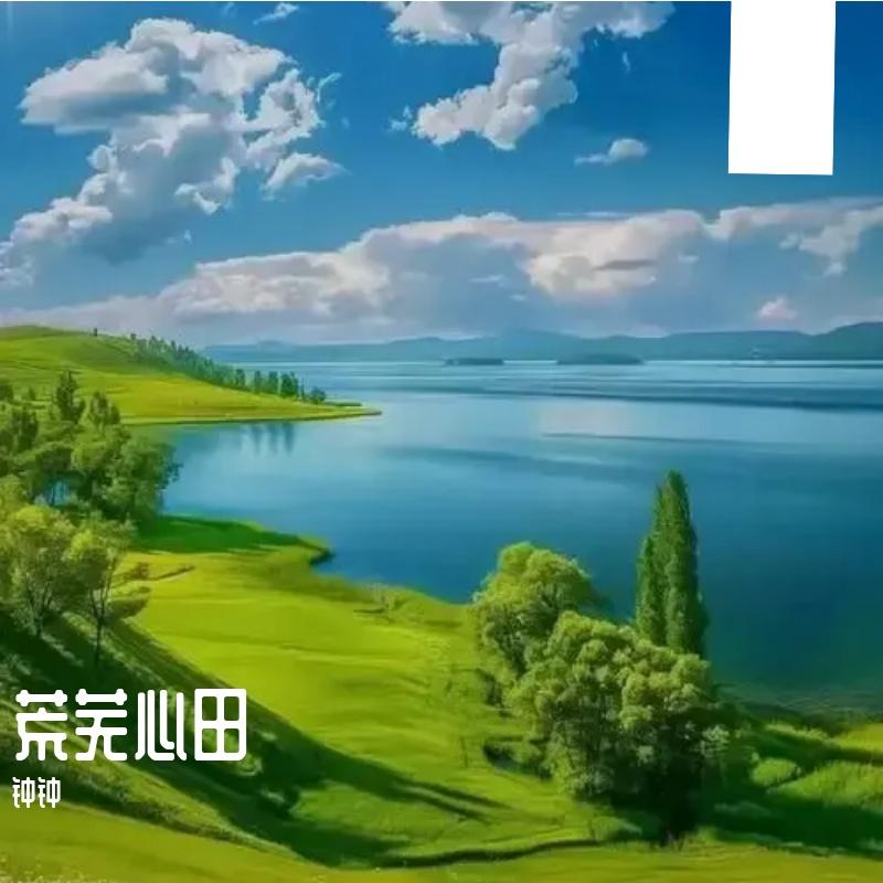 荒芜心田绽繁花封面