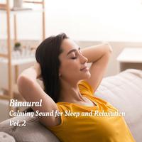 Binaural: Calming Sound for Sleep and Relaxation Vol. 2