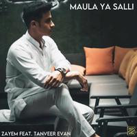 Maula Ya Salli (feat. Tanveer Evan)