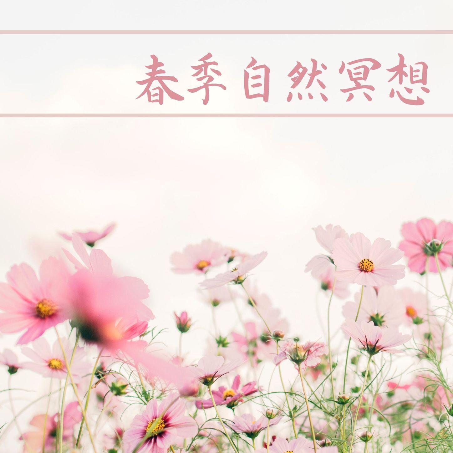 安宁封面