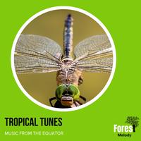 Tropical Tunes - Music from The Equator