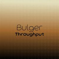 Bulger Throughput