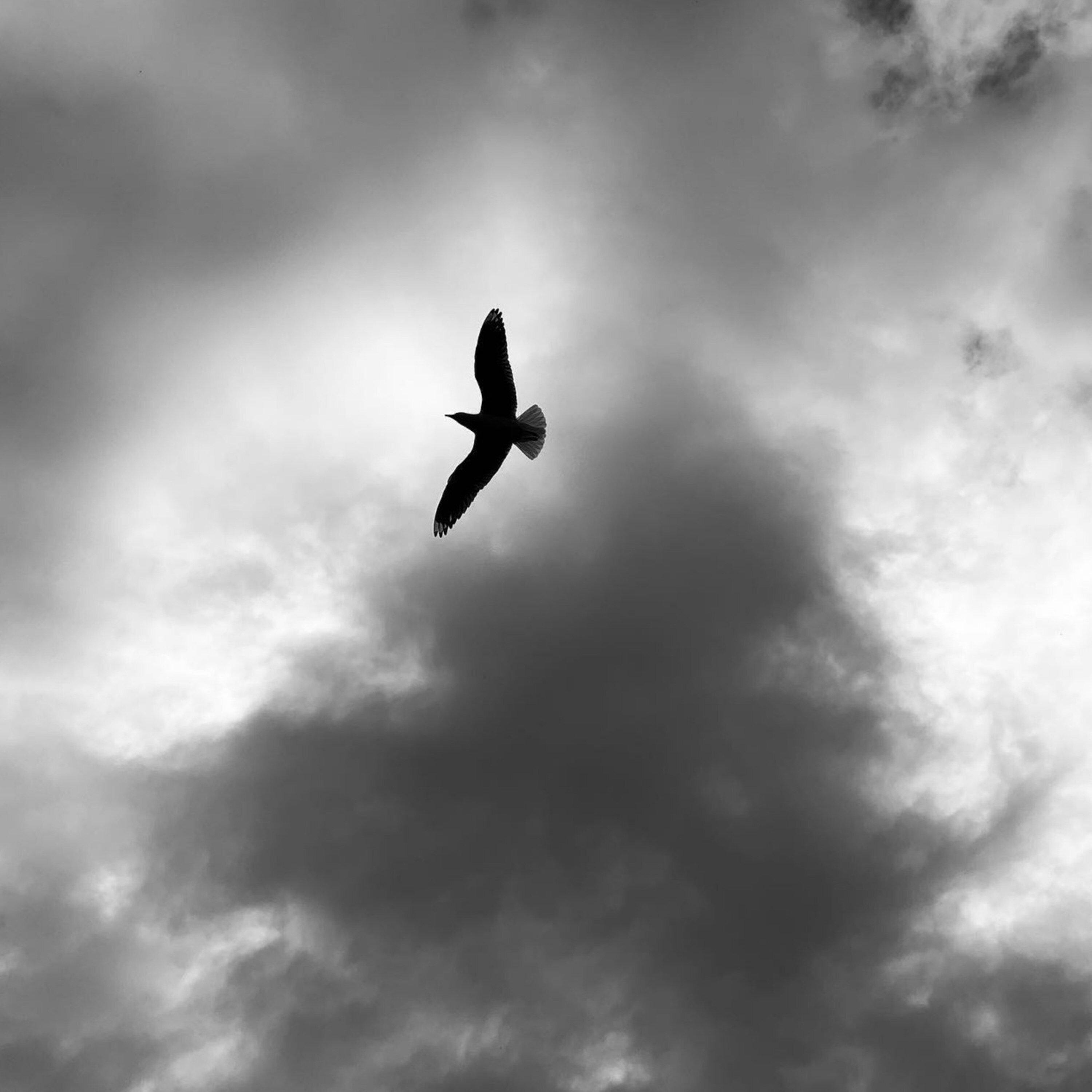 I Don't Wanna Say Goodbye