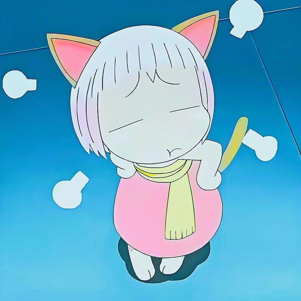 阿布是只英短蓝白