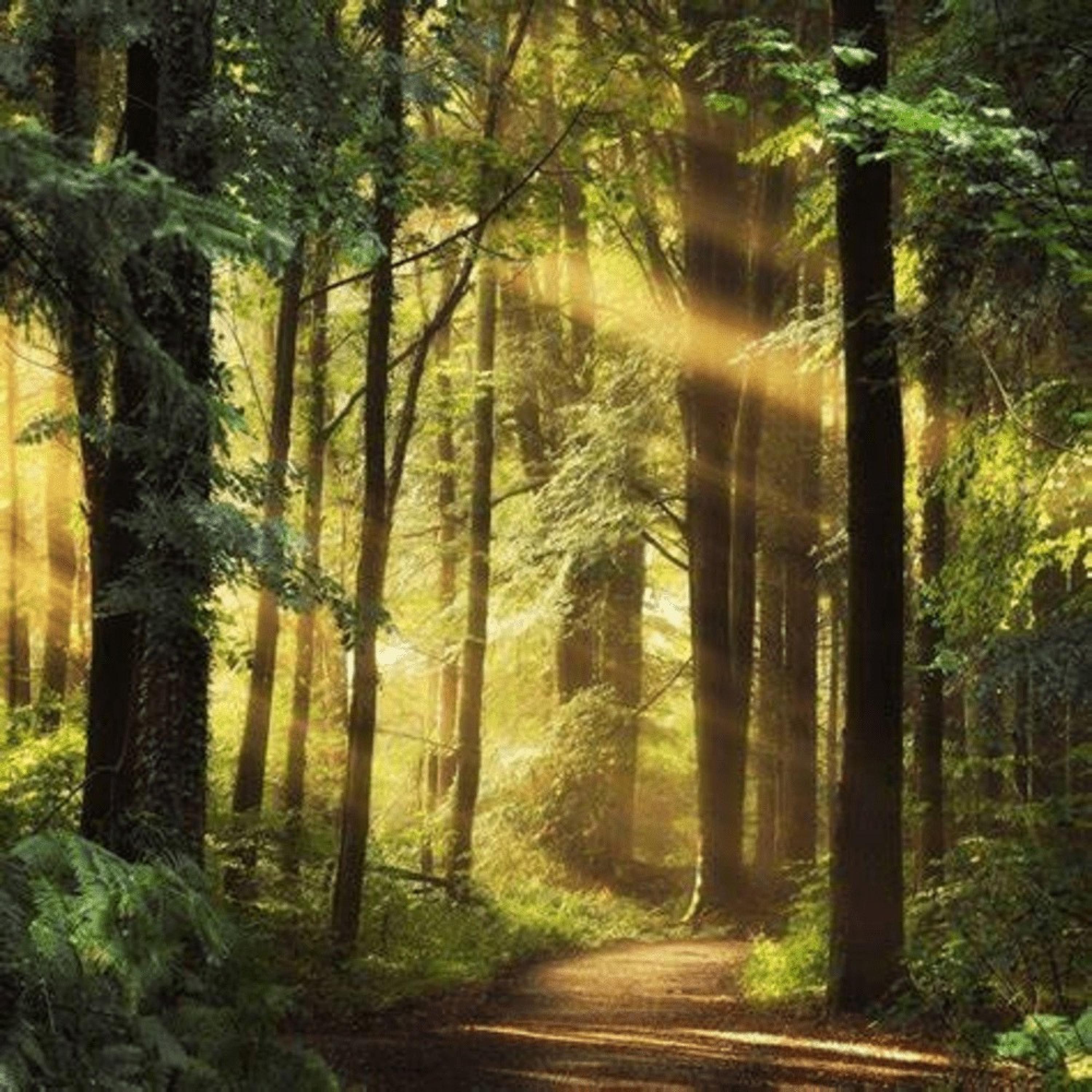 im running out of luck. gangwalkk 专辑 网易云音乐