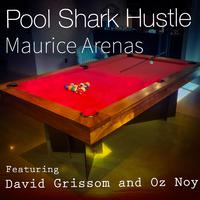 Poolshark Hustle (feat. Oz Noy & David Grissom)