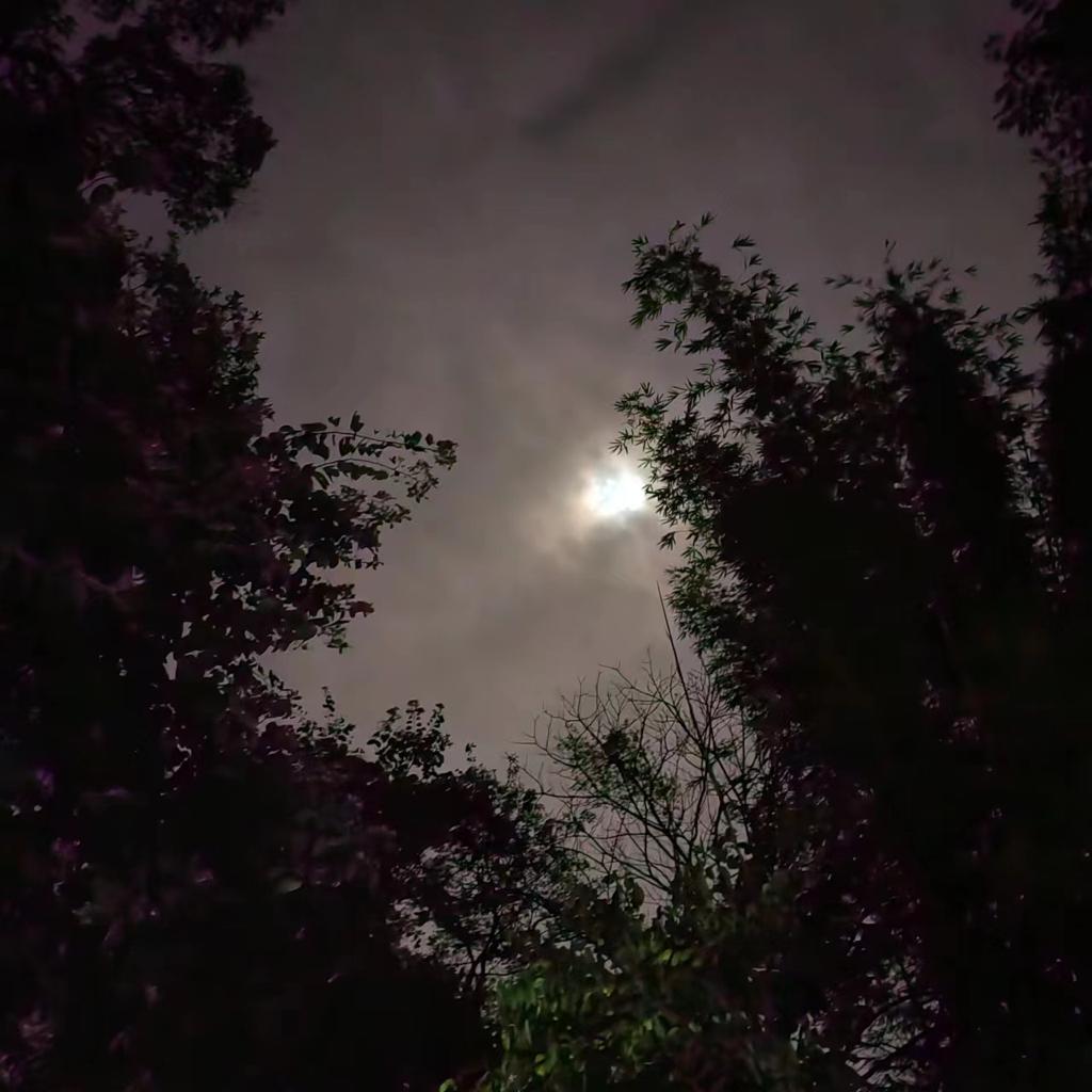 lcccs喜欢的音乐