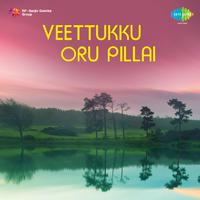 Veettukku Oru Pillai