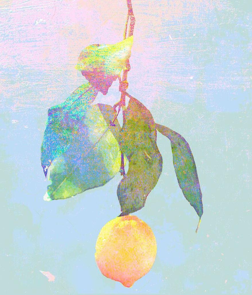 lemon(cover:米津玄师)