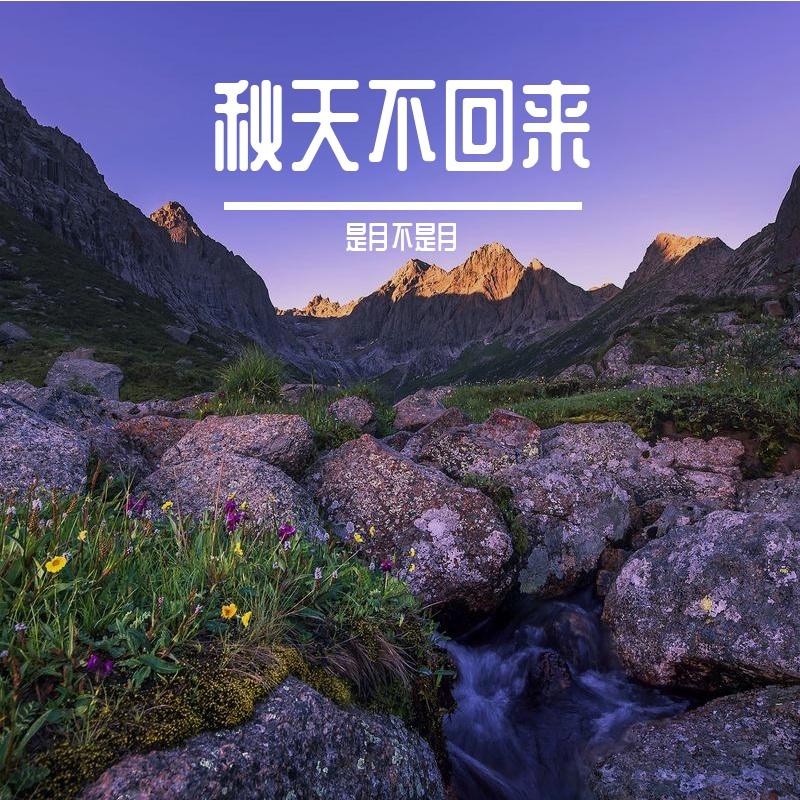 白色羽毛 伴奏封面