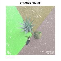 Power EDM Sport Music By Strange Fruits : Electronic Dance Music in the Mix