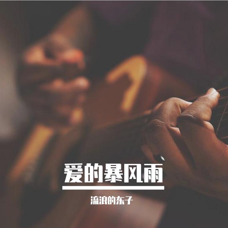 爱的暴风雨 - 流浪的东子封面