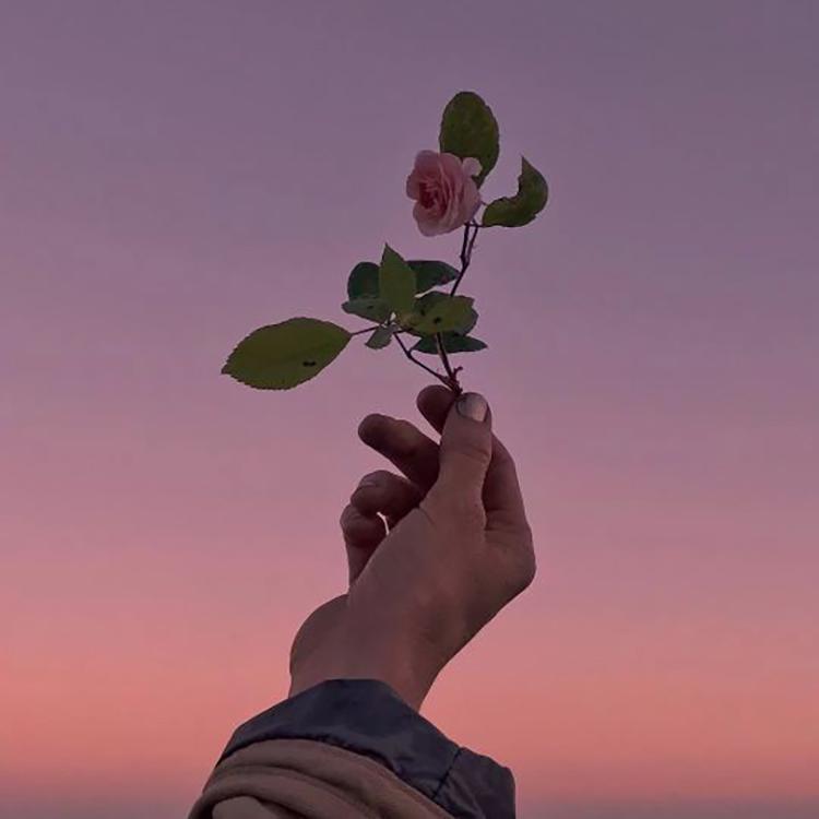 单曲循环封面