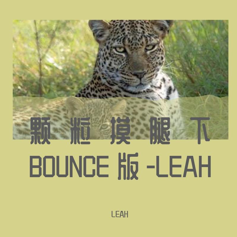 颗粒摸腿下BOUNCE版-LEAH