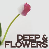 Deep & Flowers