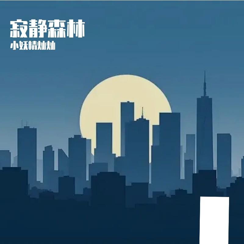 琴键上的诗封面