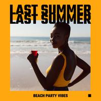 Last Summer Beach Party Vibes: Chillout Music Collection 2020